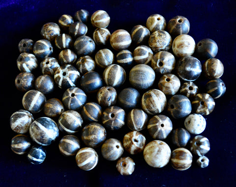 PUM 5  A Grouping of 65 Pumtek Beads