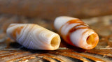 AA 5 Pair of Ancient Agates