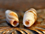 AA 5 Pair of Ancient Agates
