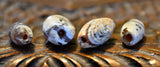 AA 2  Grouping of 4 Ancient Agates