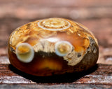 AA 203 Ancient Agate with Multiple Eyes